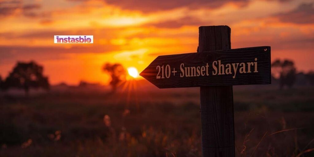 210-best-sunset-shayari-in-english