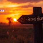 210+ Best Sunset Shayari in English